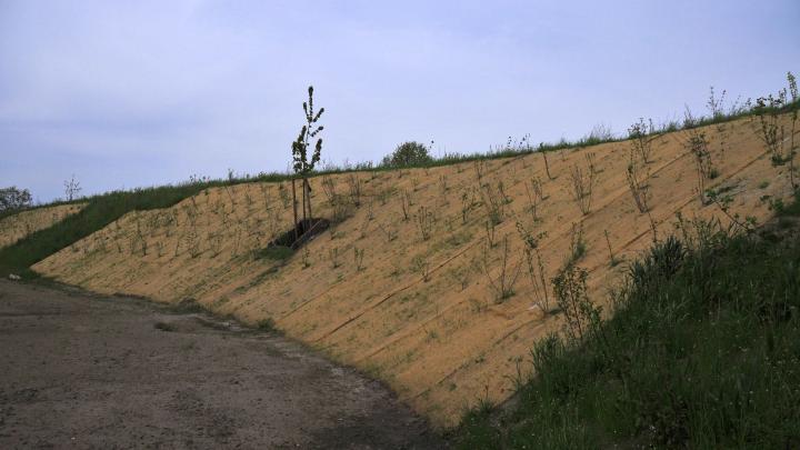 Erosionsschutzmatten zur Böschungssicherung