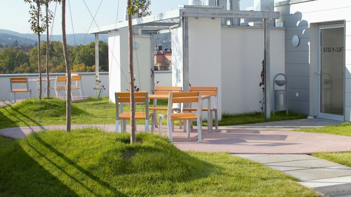 Intensive Dachbegrünung